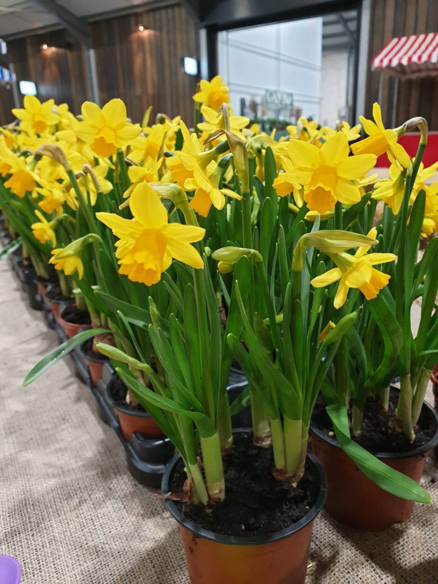 March Market Weekend Bowhouse